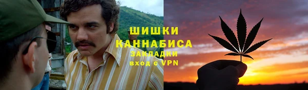 мяу мяу мука Няндома